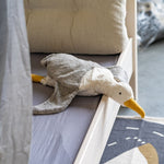 Slaidipilt