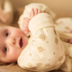 e83cd210326244f0d30f3bec28f56fd8