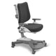 Mayer Ergonoomiline tool, mis kasvab koos teie lapsega MyChamp antratsiit
