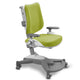 Mayer Ergonoomiline tool, mis kasvab koos teie lapsega MyChamp roheline
