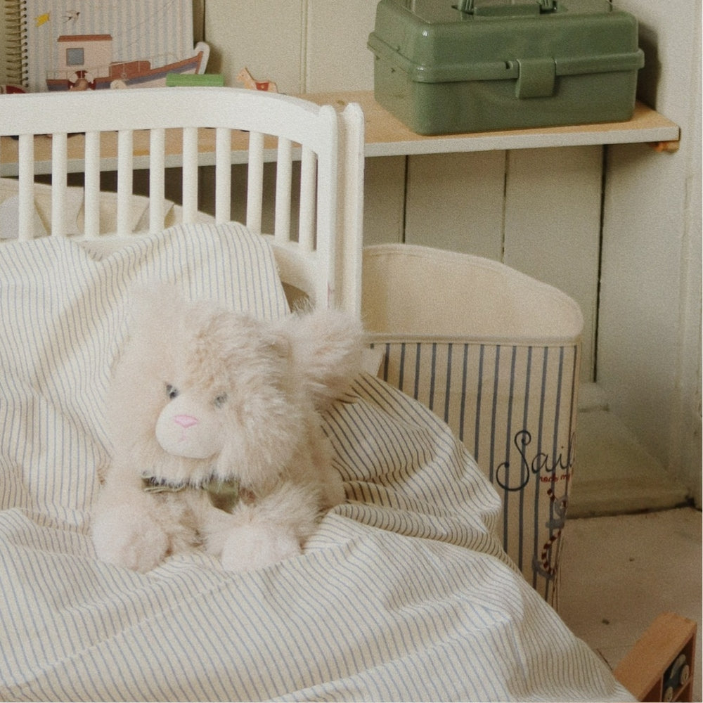 c6a5b81be37d818091bafdce5bbfcdd7