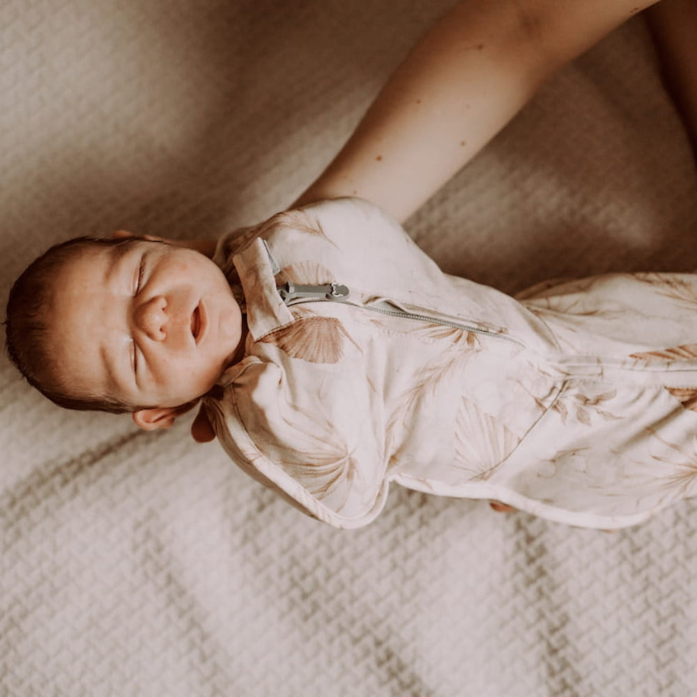 248db3f3270da4e4bc45ef86b620be70