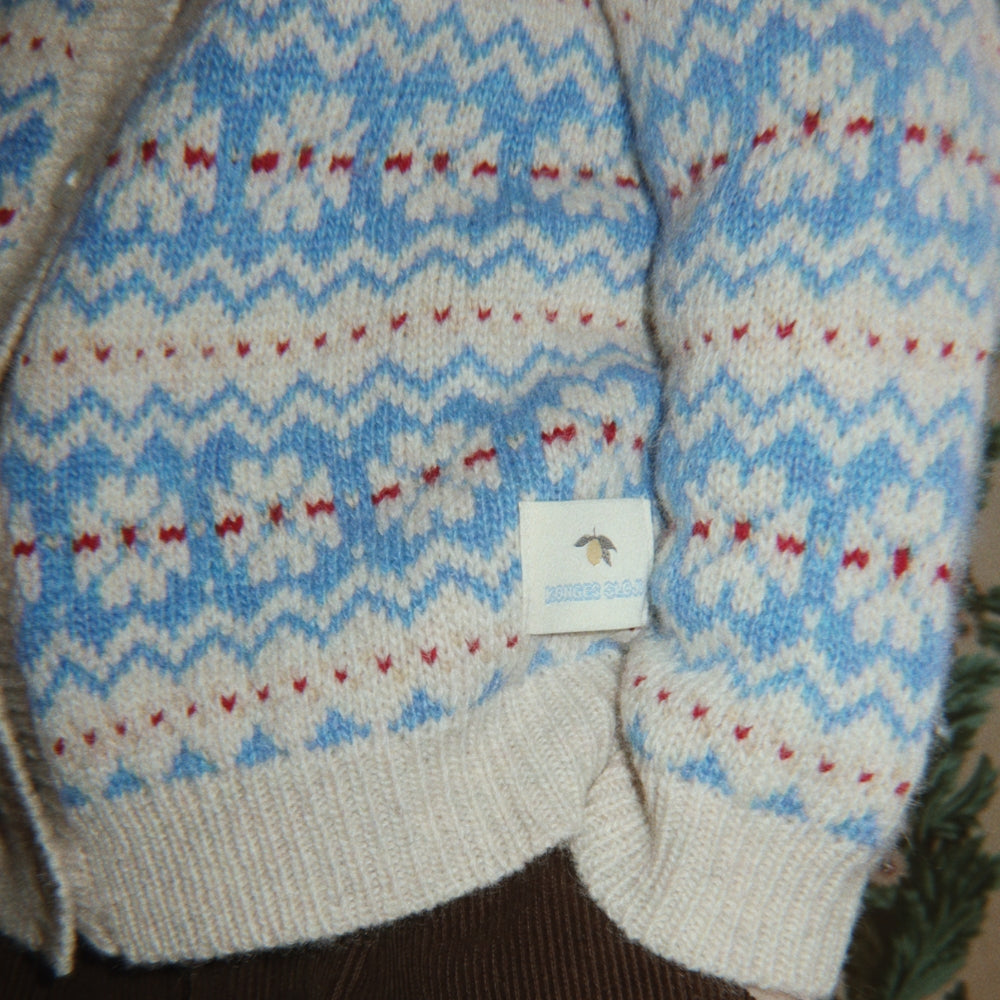Slaidipilt