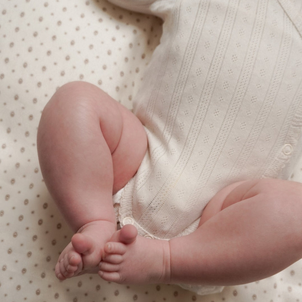 c1fa493830756ecb9d0538a441881099