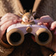 The ZooFamily laste binokkel Zoo Eyes Deer