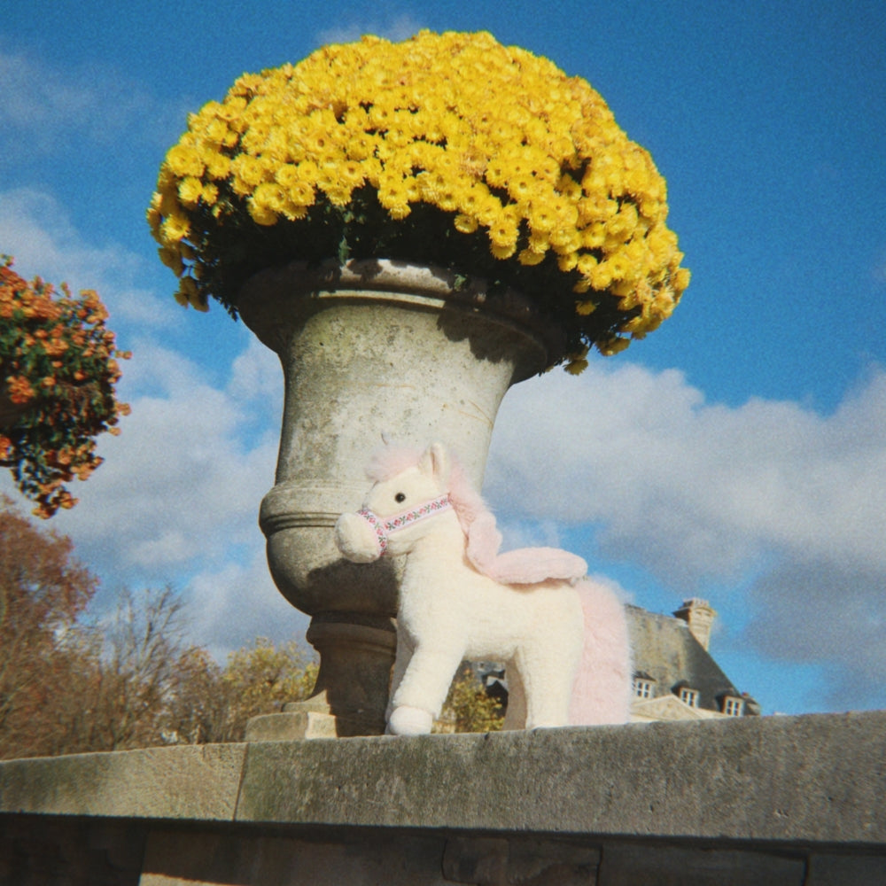 Slaidipilt