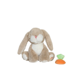 Slaidipilt