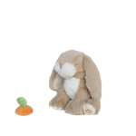 Slaidipilt