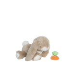 Slaidipilt