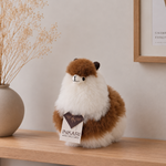Slaidipilt