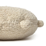 Slaidipilt