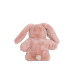 Slaidipilt