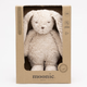 Moonie Rabbit sensoorne liiv