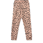 Slaidipilt