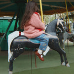 Slaidipilt