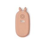 Slaidipilt
