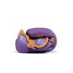 Slaidipilt