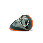 Slaidipilt