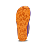 Slaidipilt