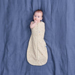 Slaidipilt