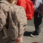 Slaidipilt